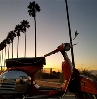 SCOOTER HOLLER photo